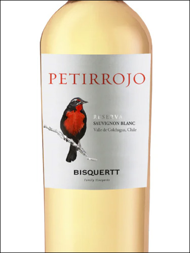 фото Bisquertt Petirrojo Reserva Sauvignon Blanc Valle de Colchagua DO Бискерт Петиррохо Резерва Совиньон Блан Долина Кольчагуа Чили вино белое