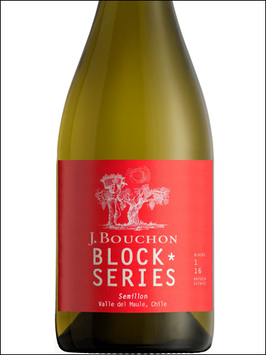 фото J.Bouchon Block Series Semillon Valle del Maule Х.Бушон Блок Сериес семильон Долина Мауле Чили вино белое