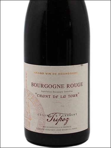 фото Celine & Laurent Tripoz Bourgogne Rouge Chant de la Tour AOC Селин & Лоран Трипоз Бургонь Руж Шан де Ла Тур Франция вино красное