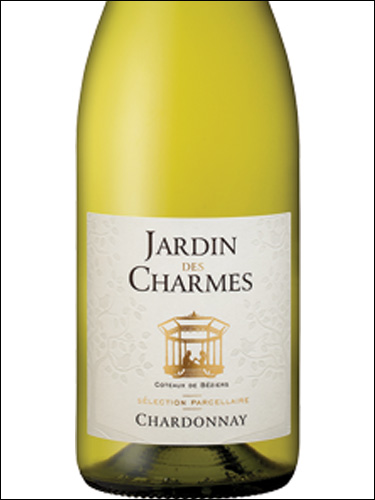 фото Jardin des Charmes Chardonnay Coteaux de Beziers IGP Жарден де Шарм Шардоне Кото де Безье Франция вино белое