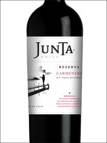 фото Junta Momentos Reserve Carmenere DO Valle de Curico Хунта Моментос Резерв Карменер Долина Курико Чили вино красное