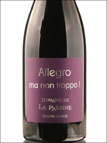 фото Domaine de la Paleine Allegro Ma Non Troppo Saumur Puy-Notre-Dame AOC Домен де ла Пален Аллегро Ма Нон Троппо Сомюр Пюи-Нотр-Дам Франция вино красное