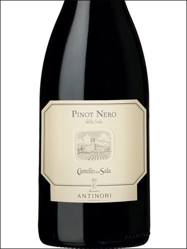 фото Antinori Pinot Nero della Sala Umbria IGT Антинори Пино Неро делла Сала Умбрия Италия вино красное