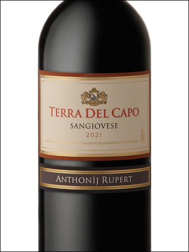 фото Terra Del Capo Sangiovese Терра Дель Капо Санджовезе ЮАР вино красное