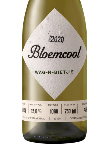 фото Bloemcool Wag-N-Bietjie Блумкол Ваг-н-Бичи ЮАР вино белое