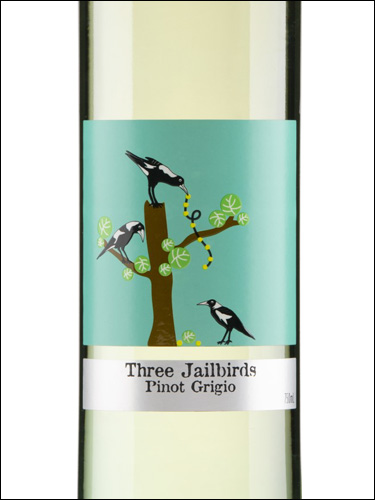 фото Quarisa Three Jailbirds Pinot Grigio South Eastern Australia Куариса Три Джэйлбердс Пино Гриджио Юго-Восточная Австралия Австралия вино белое