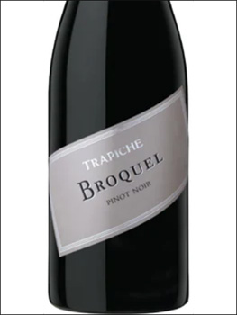 фото Trapiche Broquel Pinot Noir Трапиче Брокель Пино Нуар Аргентина вино красное