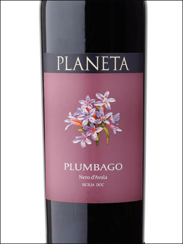 фото Planeta Plumbago Nero d'Avola Sicilia DOC Планета Плюмбаго Неро д'Авола Сицилия Италия вино красное