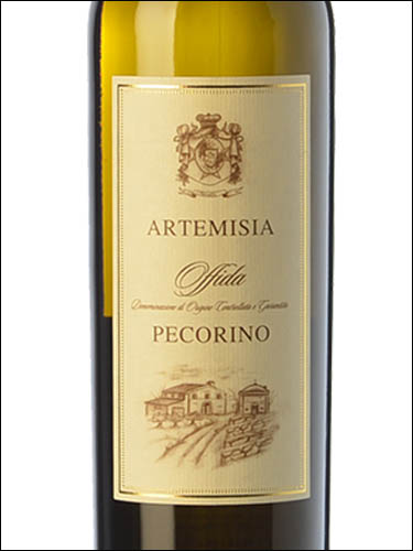 фото Tenuta Spinelli Artemisia Offida Pecorino DOCG Тенута Спинелли Артемизия Оффида Пекорино Италия вино белое