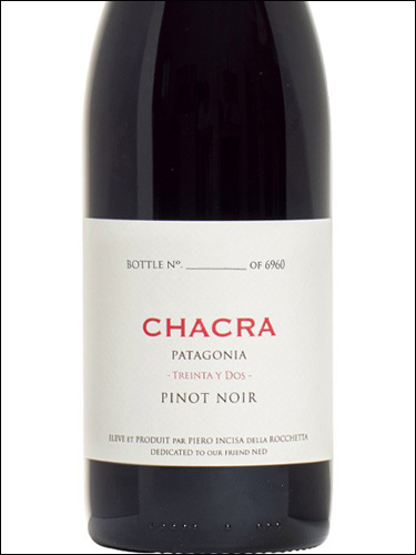 фото Chacra Treinta y Dos Pinot Noir Patagonia Чакра Трейнта и Дос Пино Нуар Патагония Аргентина вино красное