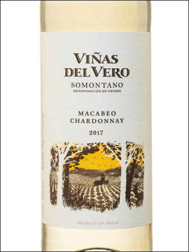 фото Vinas del Vero Macabeo - Chardonnay Somontano DO Виньяс дель Веро Макабео - Шардоне Сомонтано Испания вино белое