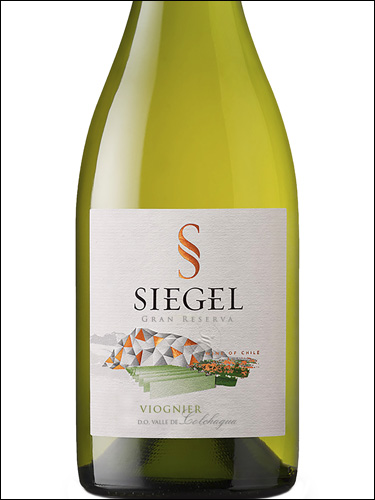 фото Siegel Gran Reserva Viognier Сигель Гран Резерва Вионье Чили вино белое