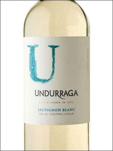 фото Undurraga Sauvignon Blanc Central Valley DO Ундуррага Совиньон Блан Чили вино белое