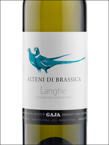 фото Gaja Alteni di Brassica Langhe DOC Гайа Альтени ди Брассика Ланге Италия вино белое