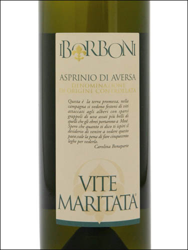 фото I Borboni Vite Maritata Asprinio di Aversa DOC И Борбони Вите Маритата Аспринио ди Аверса ДОК Италия вино белое