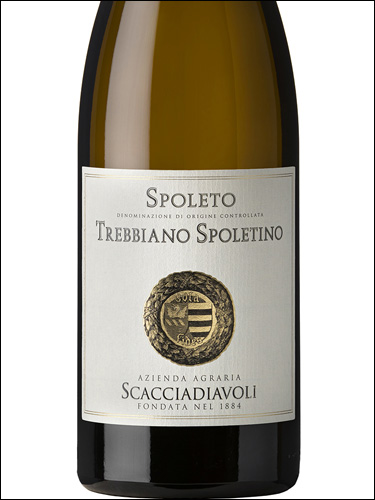фото Scacciadiavoli Spoleto Trebbiano Spoletino DOC Скаччадьяволи Сполето Треббьяно Сполетино Италия вино белое