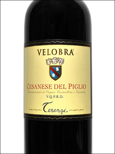 фото Terenzi Velobra Cesanese del Piglio DOCG Теренци Велобра Чезанезе дель Пильо Италия вино красное