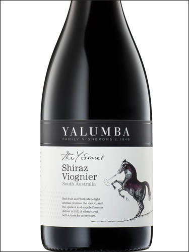 фото Yalumba The Y Series Shiraz Viognier Ялумба Серия Y Шираз Вионье Австралия вино красное