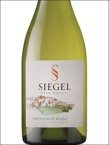 фото Siegel Gran Reserva Sauvignon Blanc Сигель Гран Резерва Совиньон Блан Чили вино белое