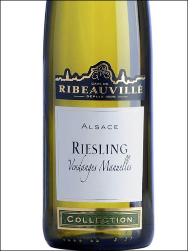 фото Cave de Ribeauville Riesling Vendanges Manuelles Alsace AOC Кав де Рибовиле Рислинг Ванданж Манюэль Эльзас Франция вино белое