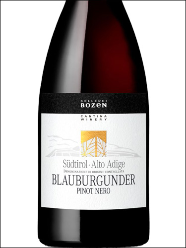 фото Kellerei Bozen Blauburgunder (Pinot Nero) Sudtirol Alto Adige DOC Келлерай Боцен Блаубургундер (Пино Неро) ЗюдТироль Альто Адидже Италия вино красное