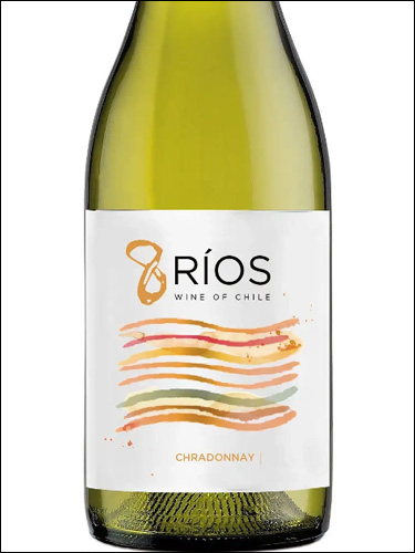 фото 8 Rios Chardonnay 8 Риос Шардоне Чили вино белое