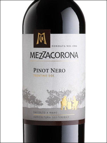 фото Mezzacorona Pinot Nero Trentino DOC Меццакорона Пино Неро Трентино Италия вино красное