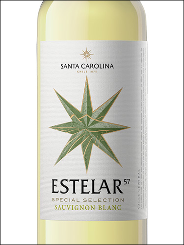 фото Santa Carolina Estelar 57 Sauvignon Blanc Санта Каролина Эстелар 57 Совиньон Блан Чили вино белое