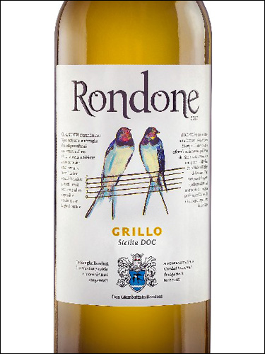 фото Rondone Grillo Sicilia DOC Рондоне Грилло Сицилия Италия вино белое