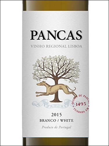 фото Pancas Branco Vinho Regional Lisboa Панкас Бранко ВР Лиссабон Португалия вино белое