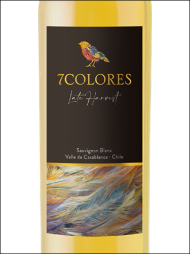 фото 7Colores Late Harvest Sauvignon Blanc Casablanca Valley DO 7Колорес Лейт Харвест Совиньон Блан Долина Касабланка Чили вино белое