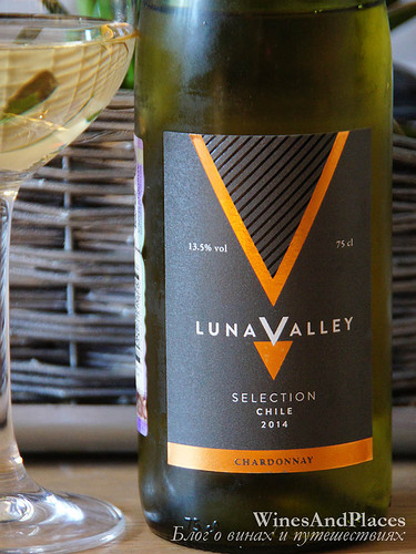 фото Luna Valley Selection Chardonnay Луна Вайе Селекшн Шардоне Чили вино белое