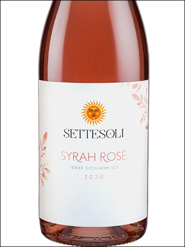 фото Settesoli Syrah Rose Terre Siciliane IGT Сеттезоли Cира Розе Терре Сичилиане Италия вино розовое