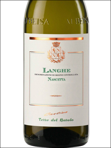 фото Terre del Barolo Langhe Nascetta DOC Терре дель Бароло Ланге Нашетта Италия вино белое