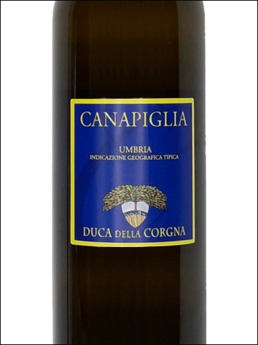 фото Duca della Corgna Canapiglia Umbria IGT Дюка делла Корнья Канапилья Умбрия Италия вино белое