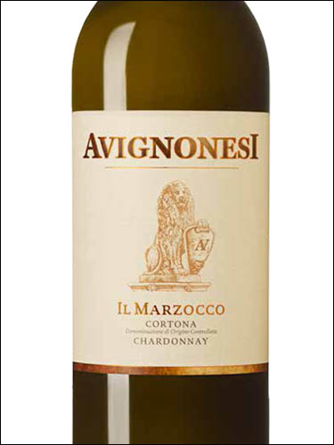 фото Avignonesi Il Marzocco Chardannay Cortona DOC Авиньонези Иль Мардзокко Шардоне Кортона Италия вино белое