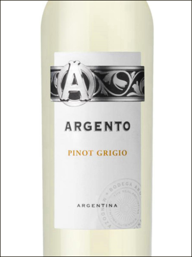 фото Argento Pinot Grigio Аргенто Пино Гриджио Аргентина вино белое