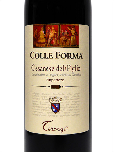 фото Terenzi Colle Forma Cesanese del Piglio Superiore DOCG Теренци Колле Форма Чезанезе дель Пильо Супериоре Италия вино красное