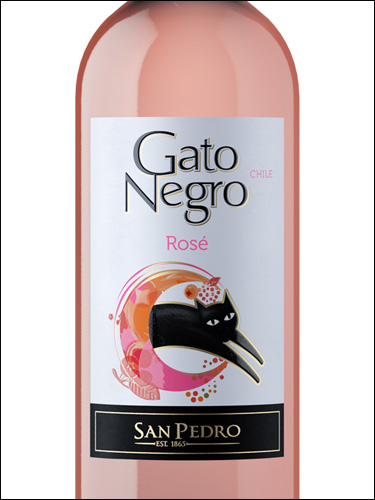 фото San Pedro Gato Negro Rose Central Valley DO Сан Педро Гато Негро Розе Чили вино розовое