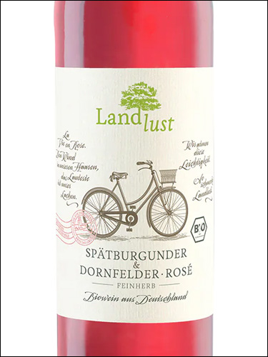 фото Landlust Spatburgunder &  Dornfelder Rose Feinherb Pfalz Ландлуст Дорнфельдер & Шпэтбургундер Розе Файнхерб Пфальц Германия вино розовое