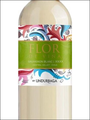 фото Undurraga Flor de Vina Sauvignon Blanc Ундуррага Флор де Винья Совиньон Блан Чили вино белое