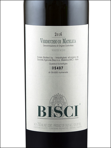 фото Bisci Verdicchio di Matelica DOC Биши Вердиккьо ди Мателика  Италия вино белое
