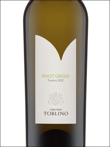 фото Cantina Toblino Pinot Grigio Trentino DOC Кантина Тоблино Пино Гриджио Трентино Италия вино белое