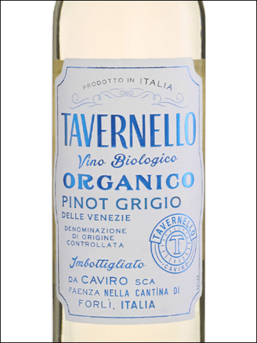 фото Tavernello Organico Pinot Grigio delle Venezie DOC Тавернелло Органико Пино Гриджио делле Венецие Италия вино белое