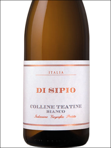 фото di Sipio Colline Teatine Bianco IGP ди Сипио Коллине Театине Бьянко Италия вино белое