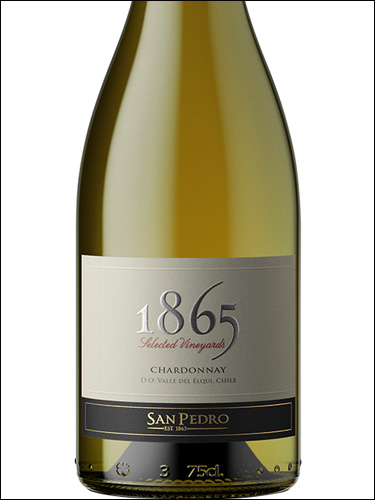 фото San Pedro 1865 Chardonnay Valle del Elqui Сан Педро 1865 Шардоне Долина Эльки Чили вино белое