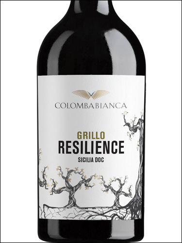 фото Colomba Bianca Resilience Grillo Sicilia DOC Коломба Бьянка Резильенче Грилло Сицилия Италия вино белое