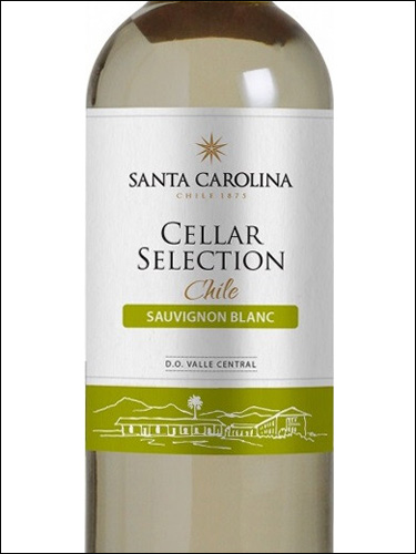 фото Santa Carolina Cellar Selection Sauvignon Blanc Санта Каролина Селлар Селекшн Совиньон Блан Чили вино белое