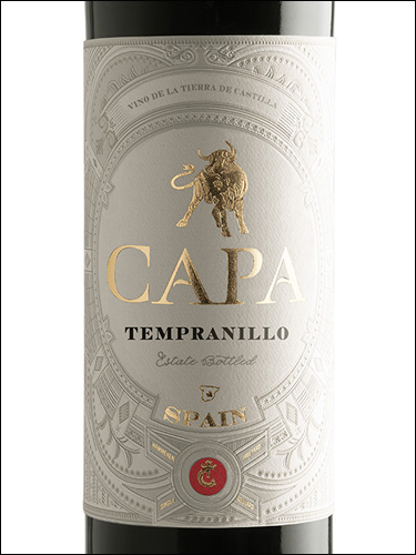 фото вино Capa Tempranillo Castilla IGP 