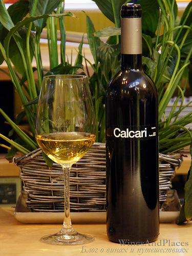 фото Pares Balta Calcari Xarel-lo Penedes DO Парес Балта Калькари Щарельо ДО Пенедес Испания вино белое